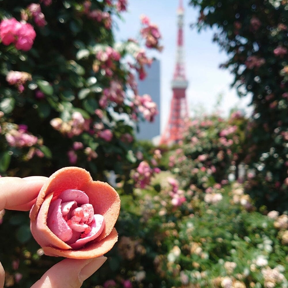 - anlander 好貨加 - 香港