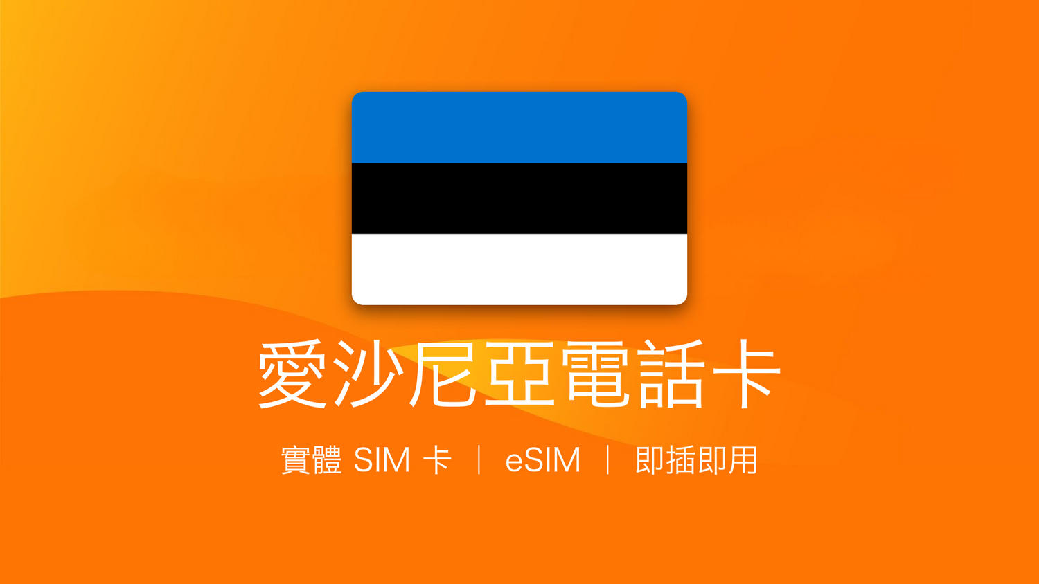 愛沙尼亞電話卡：上網卡 | 手機數據卡 | 電話卡 | eSIM