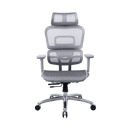 Zenox Ten-E 天依辦公椅 (兩色可選)