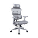 Zenox Ten-E 天依辦公椅 (兩色可選)