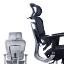 Zenox Ten-E 天依辦公椅 (兩色可選)