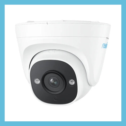 Reolink P324 戶外 PoE 半球型天花板 IP Camera (5MP)