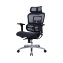 Zenox Ten-E 天依辦公椅 (兩色可選)