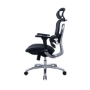 Zenox Ten-E 天依辦公椅 (兩色可選)