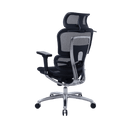 Zenox Ten-E 天依辦公椅 (兩色可選)