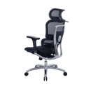 Zenox Ten-E 天依辦公椅 (兩色可選)