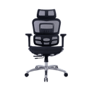 Zenox Ten-E 天依辦公椅 (兩色可選)