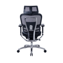 Zenox Ten-E 天依辦公椅 (兩色可選)