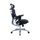 Zenox Ten-E 天依辦公椅 (兩色可選)