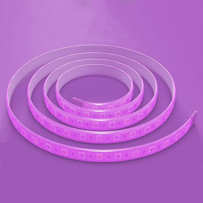 【香港免運】LifeSmart BLEND Light Strip - LED 幻彩燈帶 - anlander 好貨加 - 香港
